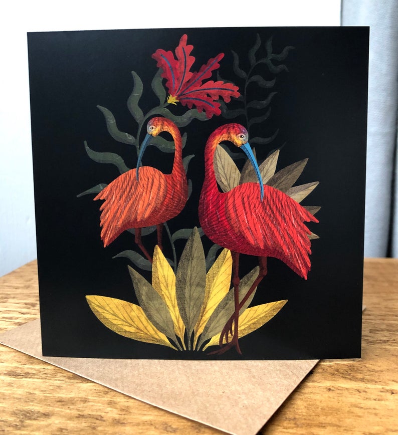Scarlet Ibis Card by Lucy Rose