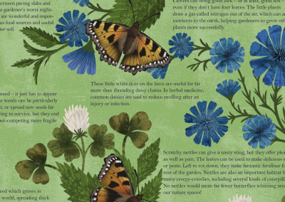 Butterflies, Buds and Bees illustrated by Lucy Rose