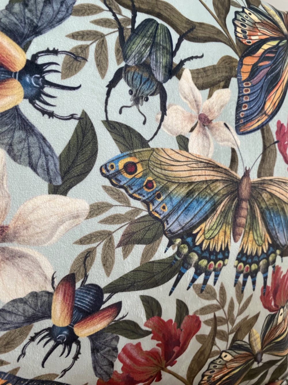 Lucy Rose Illustration- Butterflies and Beetles Cushion