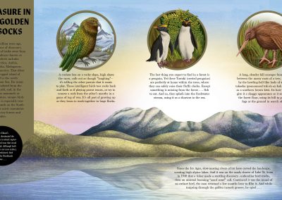 Comeback Creatures by Leisa Stewart- Sharpe. illustrated by Lucy Rose