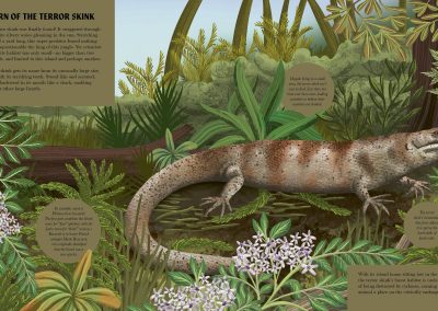 Comeback Creatures by Leisa Stewart- Sharpe. illustrated by Lucy Rose